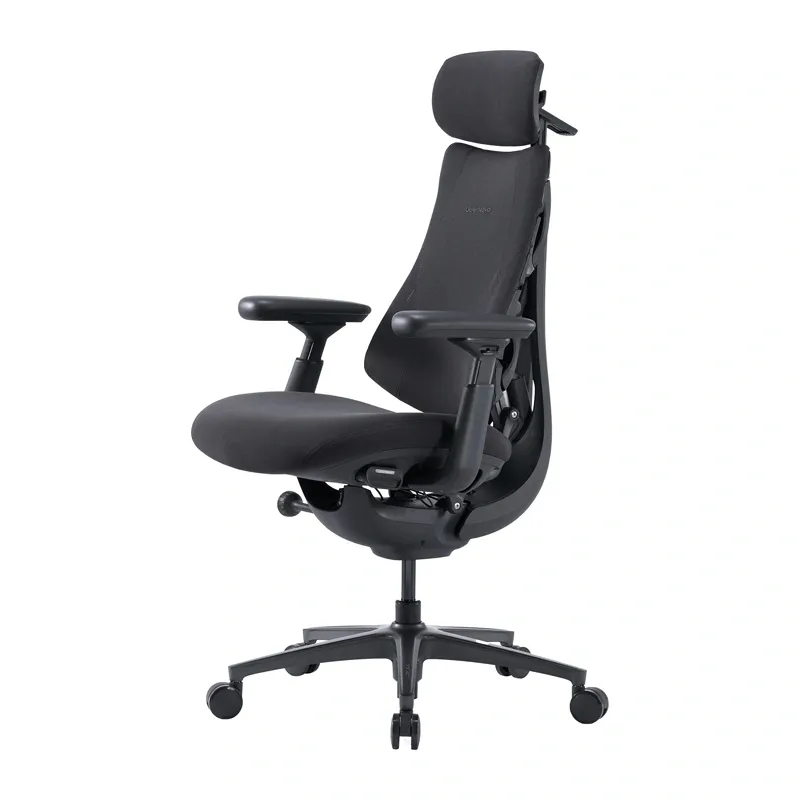 LiberNovo Omni Pro 48 cm Ergonomic Chair (Graphite)